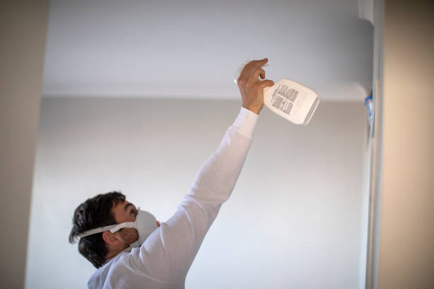 Best Office Mold Removal Services  in Stone Park, IL